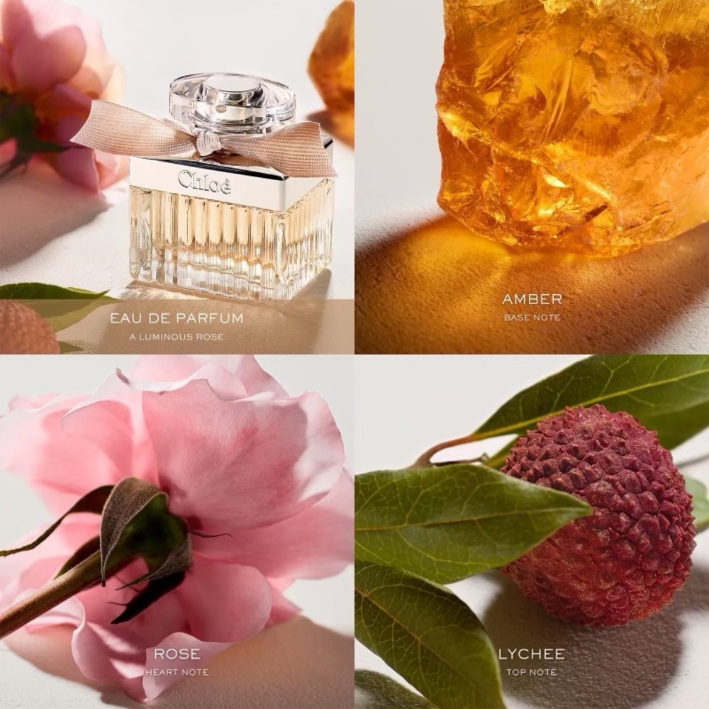 NEW The Scent Edit Discovery Sampler Set - Exclusive - Picture 3 of 9